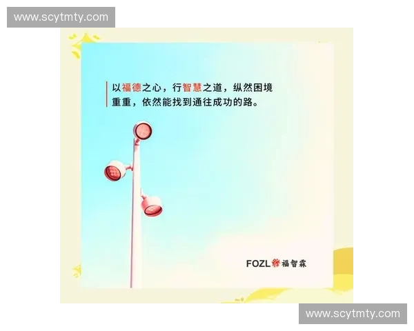 身体稳定度提升计划：坚实根基，稳步前行