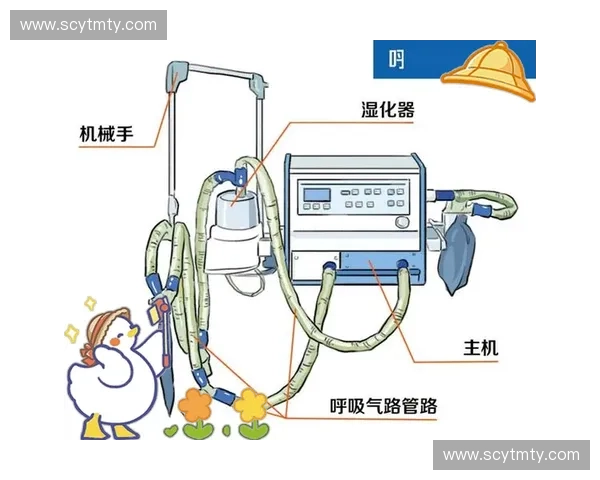 基于呼吸模式分析人体健康状态的多维评估方法